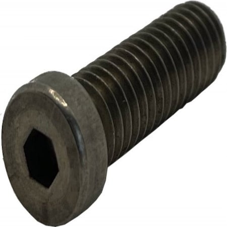 M8 Socket Head Cap Screw, Plain Stainless Steel, 20 Mm Length